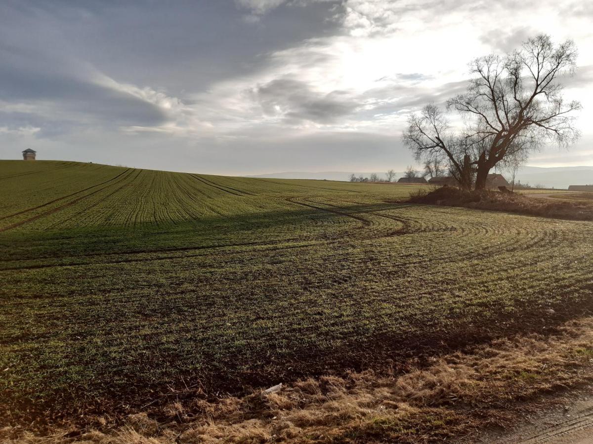 Agroturystyka Tam Gdzie Sosny Scinawka Dolna Exterior foto