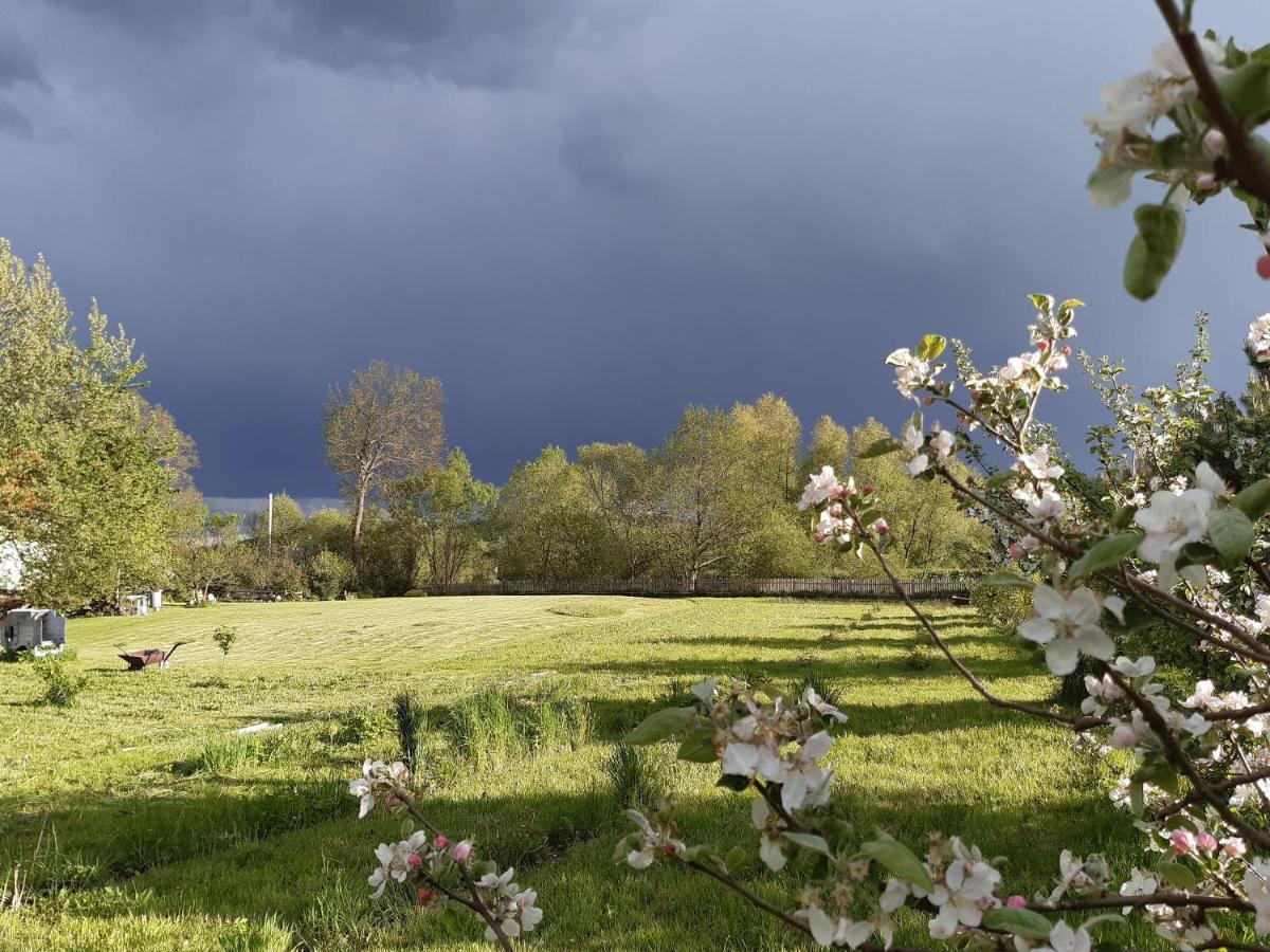 Agroturystyka Tam Gdzie Sosny Scinawka Dolna Exterior foto