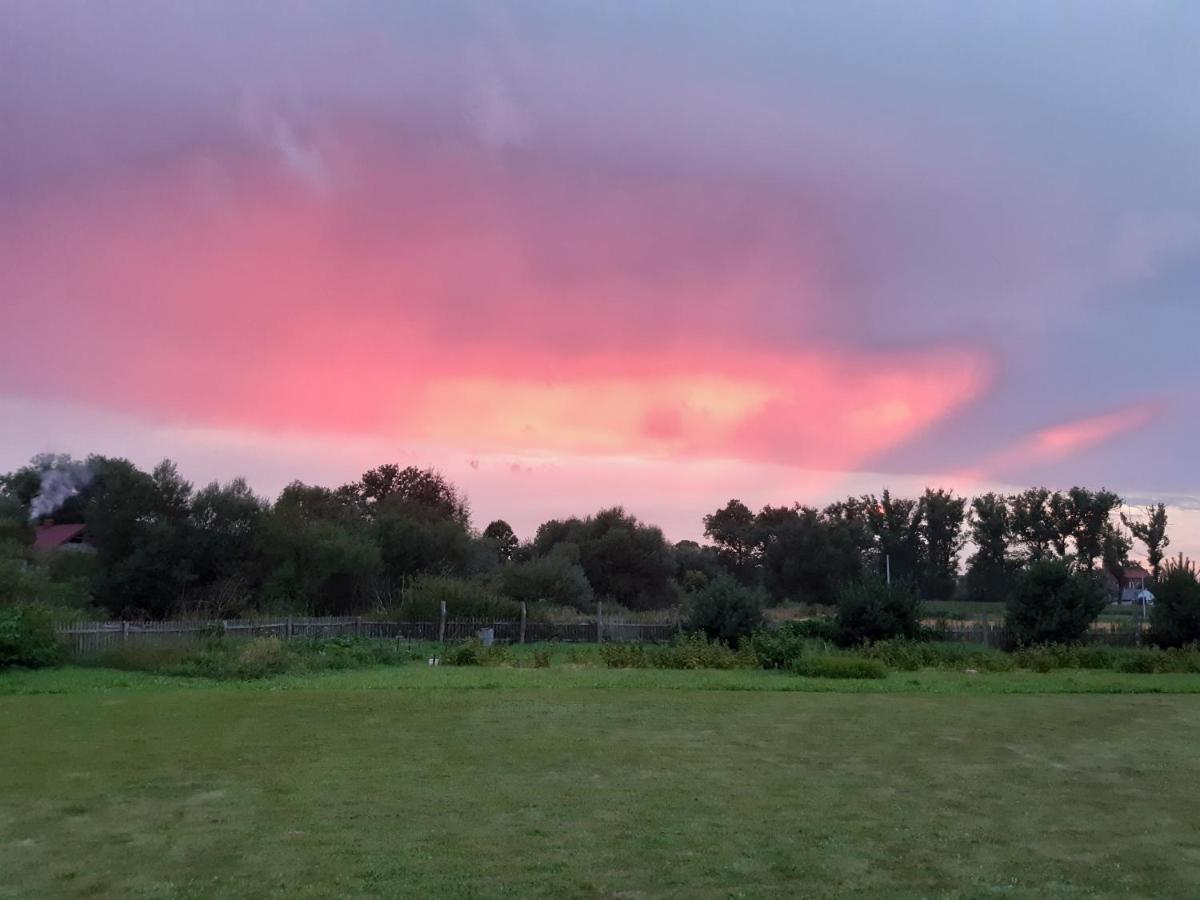 Agroturystyka Tam Gdzie Sosny Scinawka Dolna Exterior foto