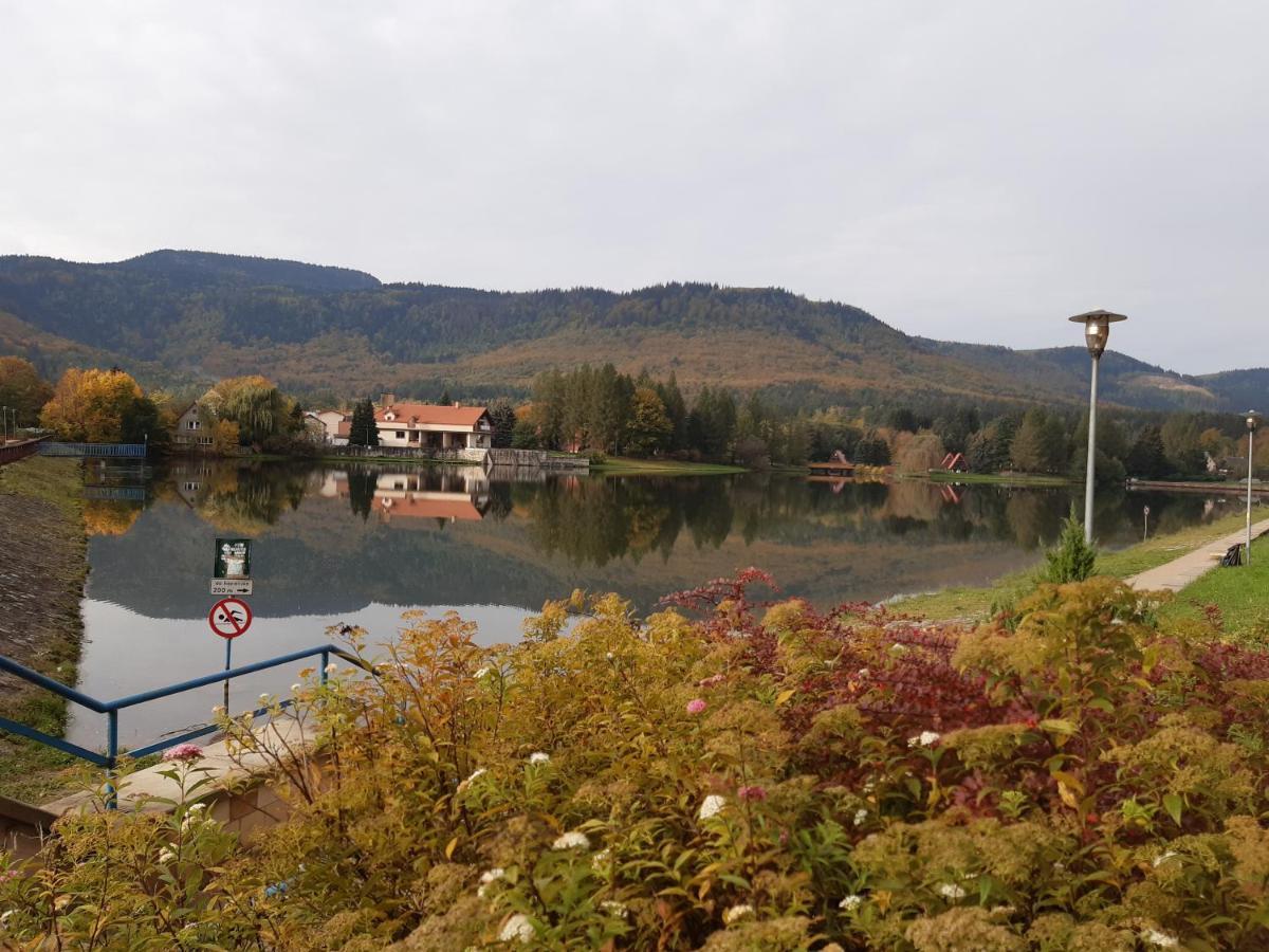 Agroturystyka Tam Gdzie Sosny Scinawka Dolna Exterior foto